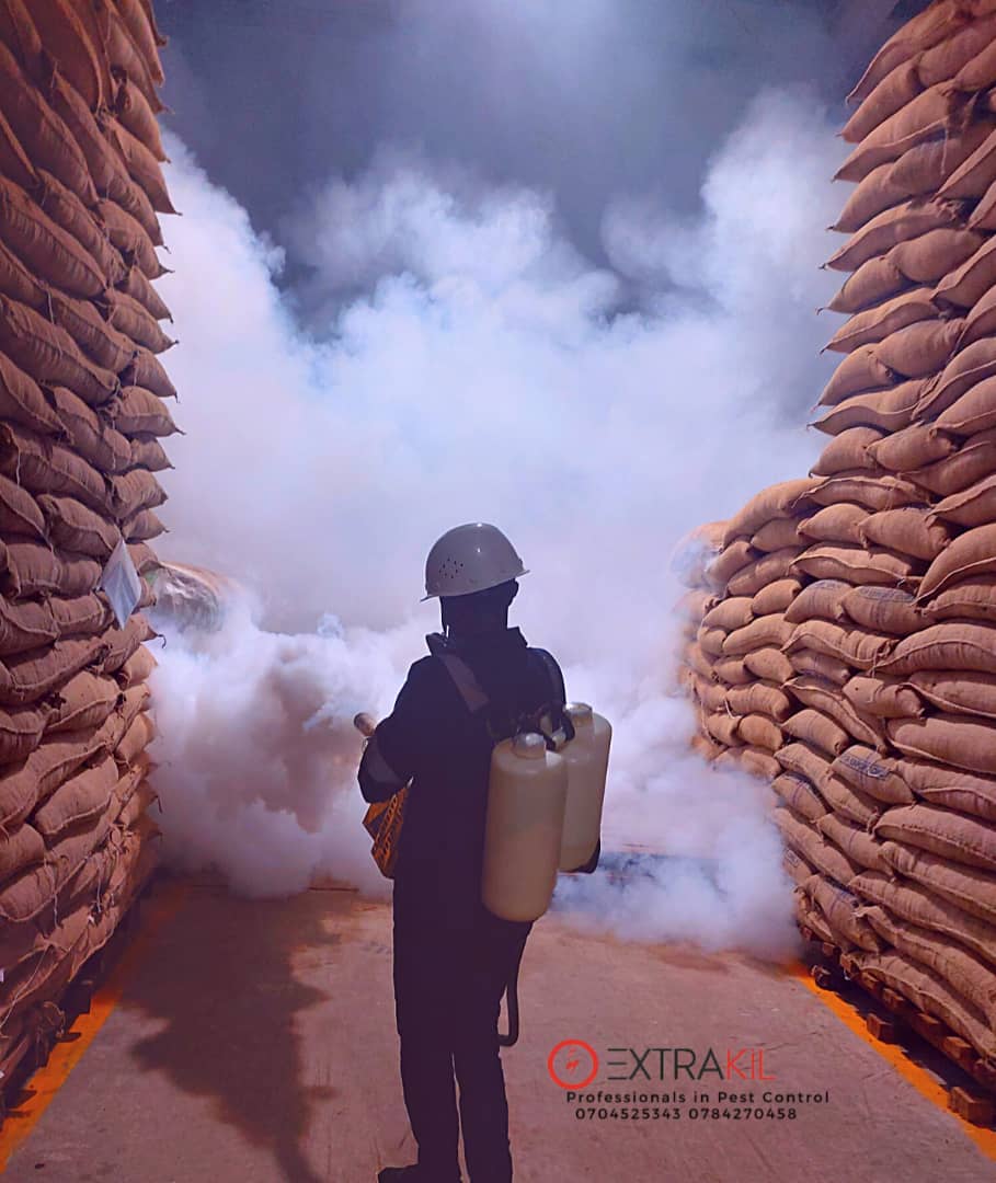 Harnessing the Power of Smoke: An Eco-Friendly Approach to Pest Control