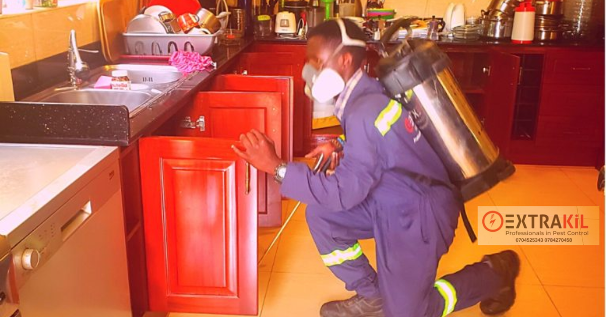 Residential Pest Management – Keeping Your Home Pest-Free