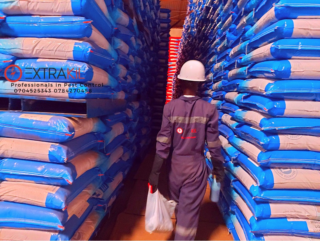 Extrakil Uganda: Transforming Pest Control for a Better Uganda