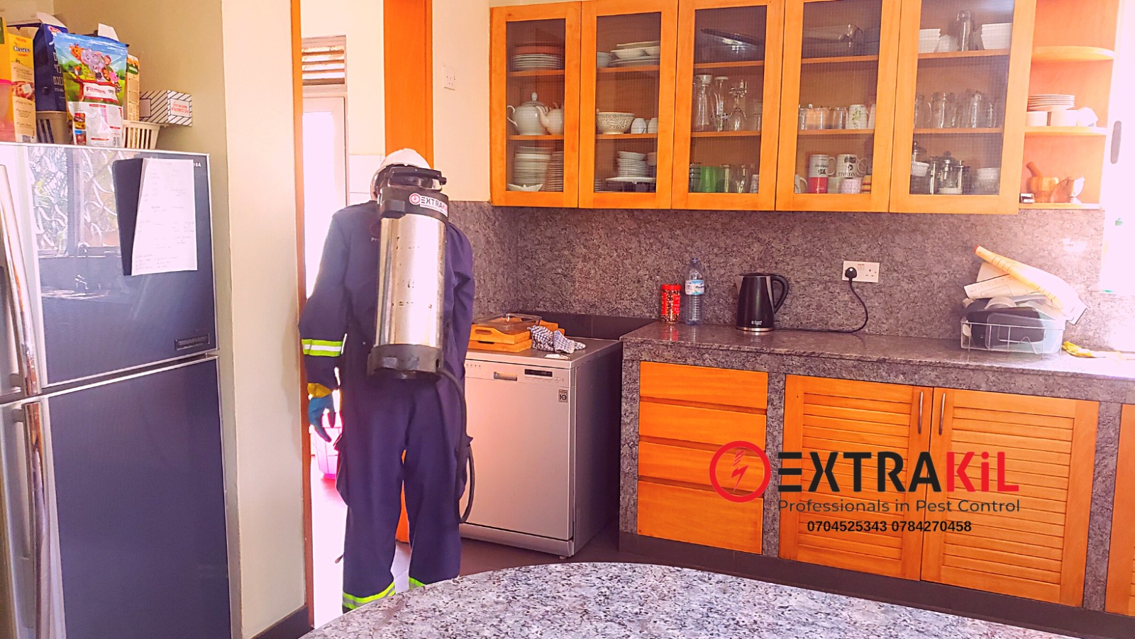 Effective Pest Control: Safeguarding Your Home with ExtraKil Uganda