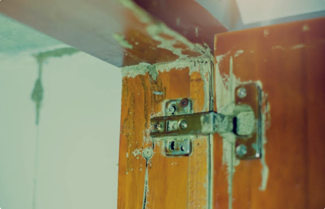 Termite Treatment